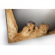 Birdseye Poplar Burl Wood Mirror №2